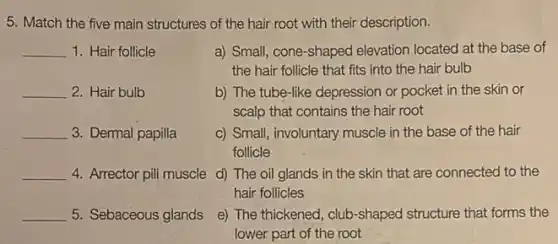 5. Match the five main structures of the hair root with their description.
__ 1. Hair follicle
__ 2. Hair bulb
__ 3. Dermal papilla
__
__ 5. Sebaceous glands
a) Small, cone-shaped elevation located at the base of
the hair follicle that fits into the hair bulb
b) The tube-like depression or pocket in the skin or
scalp that contains the hair root
c) Small, involuntary muscle in the base of the hair
follicle
4. Arrector pili muscle d)The oil glands in the skin that are connected to the
hair follicles
e) The thickened, club -shaped structure that forms the
lower part of the root