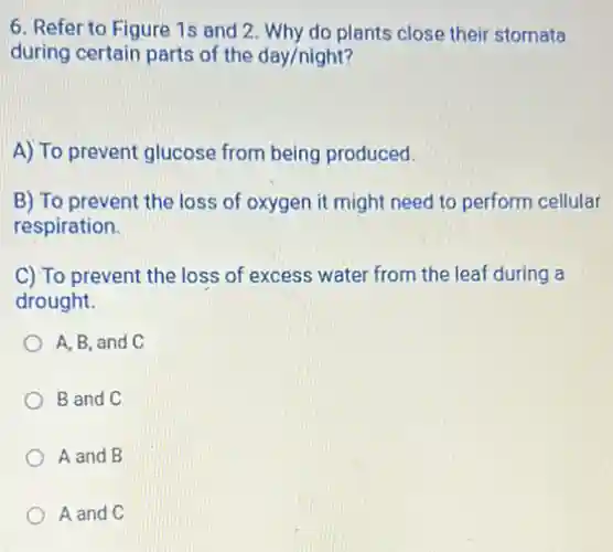 6. Refer to Figure 1s and 2. Why do plants close their stomata
during certain parts of the day/night?
A) To prevent glucose from being produced.
B) To prevent the loss of oxygen it might need to perform cellular
respiration.
C) To prevent the loss of excess water from the leaf during a
drought.
A, B, and C
B and C
A and B
A and C