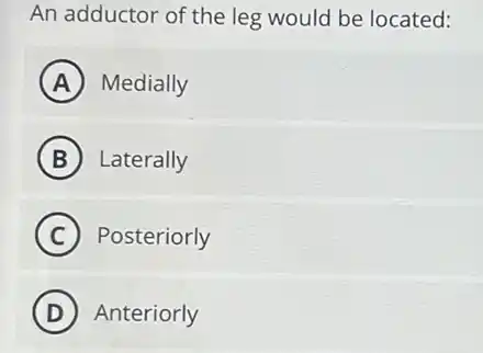 An adductor of the leg would be located:
A Medially
B Laterally
C Posteriorly
D Anteriorly
