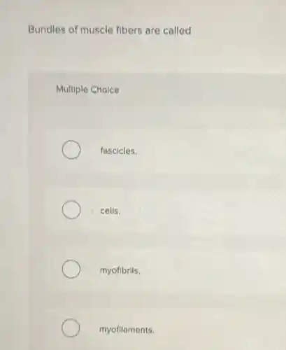 Bundles of muscle fibers are called
Multiple Choice
fascicles.
cells.
myofibrils.
myofilaments.