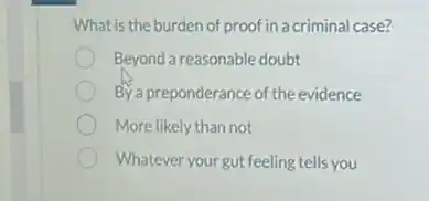 What is the burden of proof in a criminal case?
Beyond a reasonable doubt
By a preponderance of the evidence
More likely than not
Whatever your gut feeling tells you