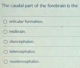 The caudal part of the forebrain is the
reticular formation.
midbrain.
diencephalon.
telencephalon.
myelencephalon.