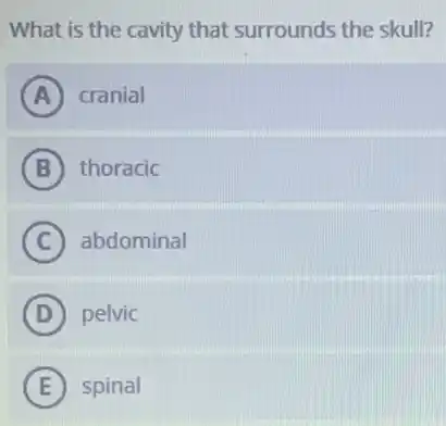 What is the cavity that surrounds the skull?
A cranial
B thoracic
C abdominal
D pelvic
E spinal