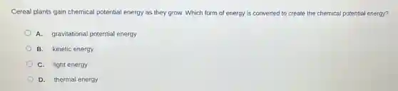 Cereal plants gain chemical potential energy as they grow. Which form of energy is converted to create the chemical potential energy?
A. gravitational potential energy
B. kinetic energy
C. light energy
D. thermal energy
