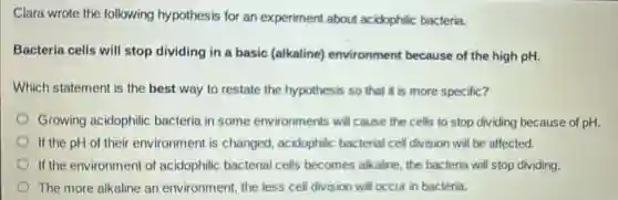 Clara wrote the following hypothesis for an experiment about acidophilic bacteria.
Bacteria cells will stop dividing in a basic (alkaline)environment because of the high pH.
Which statement is the best way to restate the hypothesis so that it is more specific?
Growing acidophilic bacteria in some environments will cause the cells to stop dividing because of pH.
If the pH of their environment is changed, acidophilic bacterial cell division will be affected.
If the environment of acidophilic bacterial cells becomes alkaline the bacteria will stop dividing.
The more alkaline an environment, the less cell division will occur in bacteria.