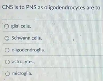 CNS is to PNS as oligodendrocytes are to
glial cells.
C Schwann cells.
oligodendroglia.
astrocytes.
microglia.