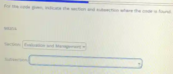For the code given indicate the section and subsection where the code is found.
99304
Section: square 
Subsection:
square