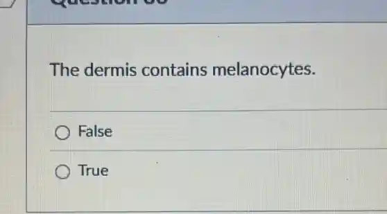 The dermis contains melanocytes.
False
True