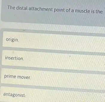 The distal attachment point of a muscle is the
origin.
insertion.
prime mover.
antagonist