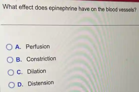 What effect does epinephrine have on the blood vessels?
A. Perfusion
B. Constriction
C. Dilation
D. Distension