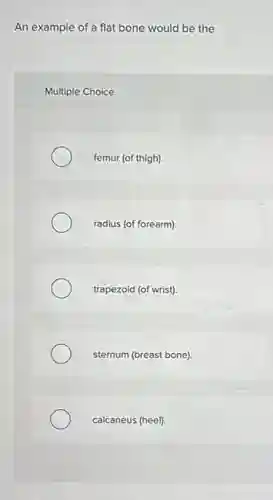 An example of a flat bone would be the
Multiple Choice
femur (of thigh)
radius (of forearm).
trapezoid (of wrist)
sternum (breast bone)
calcaneus (heel).