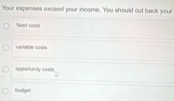 Your expenses exceed your income You should cut back your
fixed costs
variable costs
opportunity costs
budget