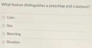 What feature distinguishes a petechiae and a purpura?
Color
Size
Blanching
Elevation