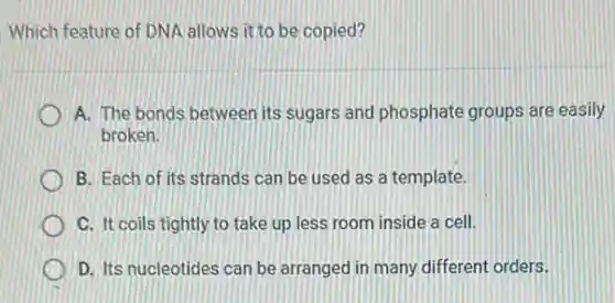 Which feature of DNA allows it to be copied?
A. The bonds between its sugars and phosphate groups are easily
broken.
B. Each of its strands can be used as a template.
C. It coils tightly to take up less room inside a cell.
D. Its nucleotides can be arranged in many different orders.