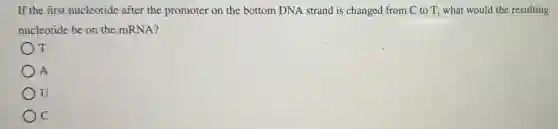 If the first nucleotide after the promoter on the bottom DNA strand is changed from C to T, what would the resulting
nucleotide be on the mRNA?
T
A
U
C