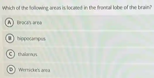 Which of the following areas is located in the frontal lobe of the brain?
A Broca's area
B hippocampus
C thalamus
D Wernicke's area