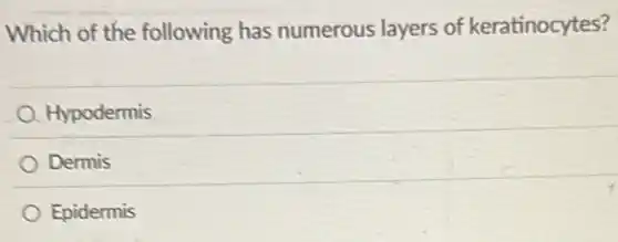 Which of the following has numerous layers of keratinocytes?
Hypodermis
Dermis
Epidermis