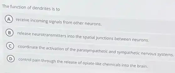 The function of dendrites is to
A receive incoming signals from other neurons.
B release neurotransmitters into the spatial junctions between neurons.
C coordinate the activation of the parasympathetic and sympathetic nervous systems.
D control pain through the release of opiate-like chemicals into the brain.