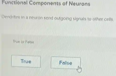 Functional Components of Neurons
Dendrites in a neuron send outgoing signals to other cells.
True or False
True
False