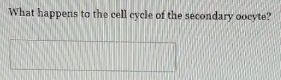 What happens to the cell cycle of the secondary oocyte?
square