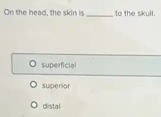 On the head, the skin is __ to the skull.
superficial
superior
distal