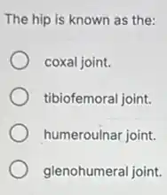 The hip is known as the:
coxal joint.
tibiofemoral joint.
humeroulnar joint.
glenohumeral joint.