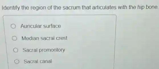 Identify the region of the sacrum that articulates with the hip bone.
Auricular surface
Median sacral crest
Sacral promontory
Sacral canal