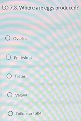 LO 7.3. Where are eggs produced?
Ovaries
Epidydmis
Testes
Vagina
Fallopian Tube