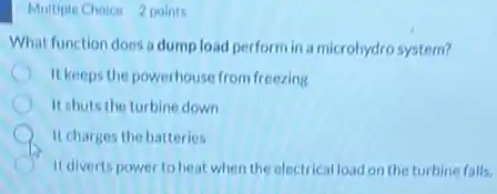 Multiple Choice 2 points
What function does a dumpload perform in a microhydro system?
It keeps the powerhouse from freezing
It shuts the turbine down
It charges the batteries
It diverts power to heat when the electrical load on the turbine falls.