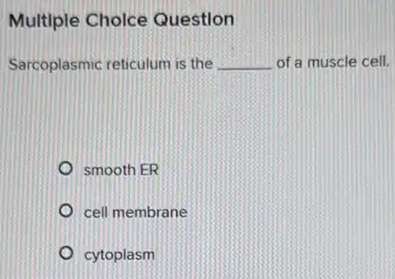 Multiple Choice Question
Sarcoplasmic reticulum is the __ of a muscle cell.
smooth ER
cell membrane
cytoplasm