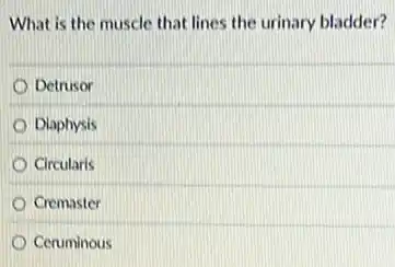 What is the muscle that lines the urinary bladder?
Detrusor
Diaphysis
Circularis
Cremaster
Ceruminous