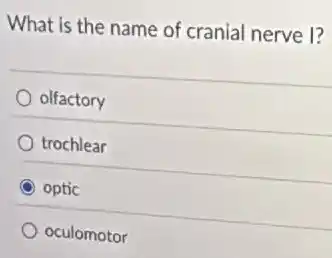 What is the name of cranial nerve I?
olfactory
trochlear
optic
oculomotor