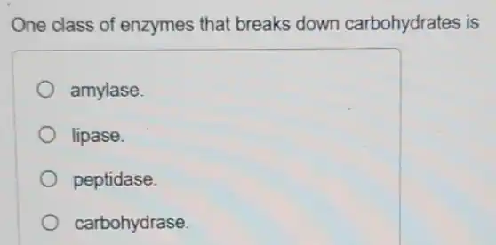 One class of enzymes that breaks down carbohydrates is
amylase.
lipase.
peptidase.
carbohydrase.