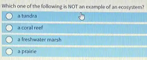 Which one of the following is NOT an example of an ecosystem?
a tundra
a coral reef
a freshwater marsh
a prairie