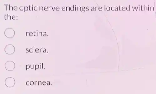 The optic nerve endings are located within
the:
retina.
sclera.
pupil.
cornea.