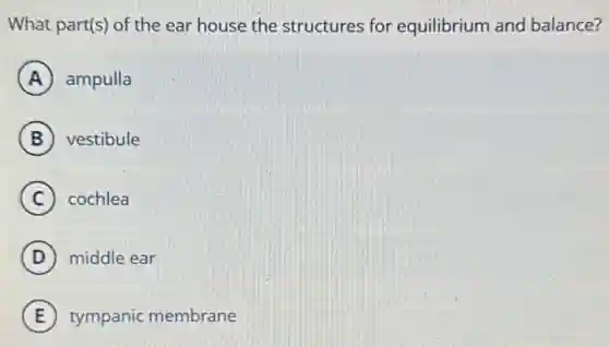 What part(s) of the ear house the structures for equilibrium and balance?
A ampulla
B vestibule
C ) cochlea
D middle ear
E tympanic membrane