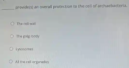 __ provide(s) an overall protection to the cell of archaebacteria.
The cell wall
The golgi body
Lysosomes
All the cell organelles