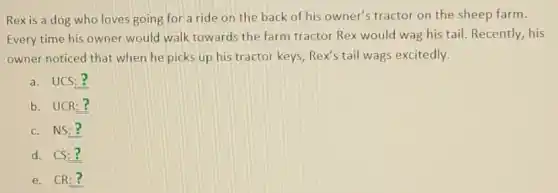Rex is a dog who loves going for a ride on the back of his owner's tractor on the sheep farm.
Every time his owner would walk towards the farm tractor Rex would wag his tail. Recently,his
owner noticed that when he picks up his tractor keys, Rex's tail wags excitedly.
a. UCS:?
b. UCR:?
c. NS: ?
d. CS:?
e. CR:?