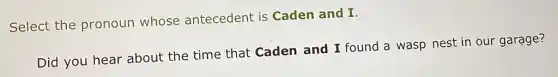 Select the pronoun whose antecedent is Caden and I.
Did you hear about the time that Caden and I found a wasp nest in our garage?