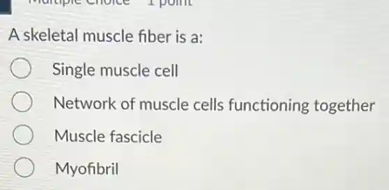 A skeletal muscle fiber is a:
Single muscle cell
Network of muscle cells functioning together
Muscle fascicle
Myofibril