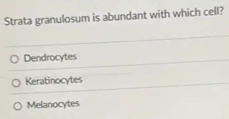 Strata granulosum is abundant with which cell?
Dendrocytes
Keratinocytes
Melanocytes