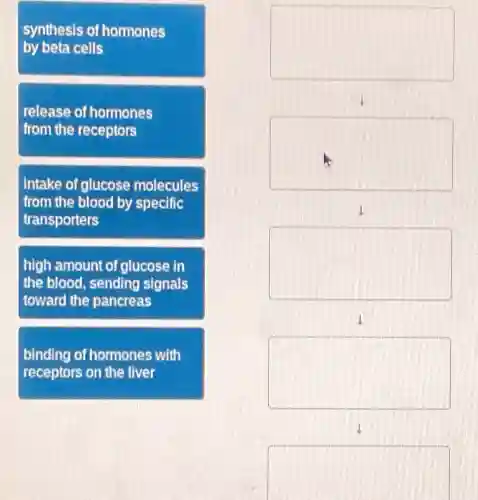 synthesis of hormones
by beta cells
release of hormones
from the receptors
intake of glucose molecules
from the blood by specific
transporters
high amount of glucose in
the blood sending signals
toward the pancreas
binding of hormones with
receptors on the liver
square 
1
square 
1
square 
4
square 
1
square