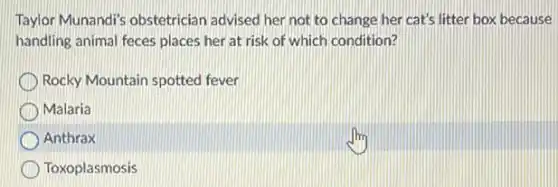 Taylor Munandi's obstetrician advised her not to change her cat's litter box because
handling animal feces places her at risk of which condition?
Rocky Mountain spotted fever
Malaria
Anthrax
Toxoplasmosis
