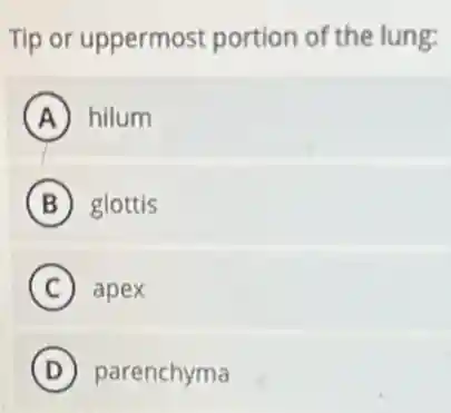 Tip or uppermost portion of the lung:
A hilum
B glottis
C apex
D parenchyma