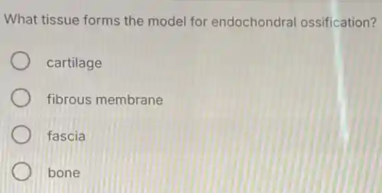 What tissue forms the model for endochondral ossification?
cartilage
fibrous membrane
fascia
bone