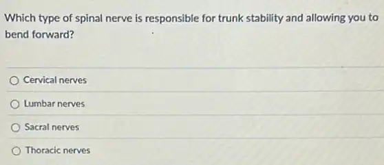 Which type of spinal nerve is responsible for trunk stability and allowing you to
bend forward?
Cervical nerves
Lumbar nerves
Sacral nerves
Thoracic nerves