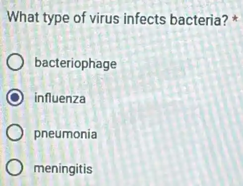 What type of virus infects bacteria?
bacteriophage
influenza
pneumonia
meningitis
