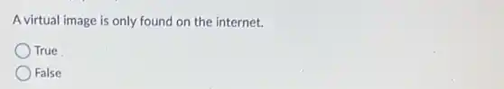A virtual image is only found on the internet.
True
False