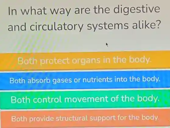 In what way are the digestive
and circulatory systems alike?
Both protect organs in the body.
Both absorb gases or nutrients into the body.
Both control movement of the body.
Both provide structural support for the body.