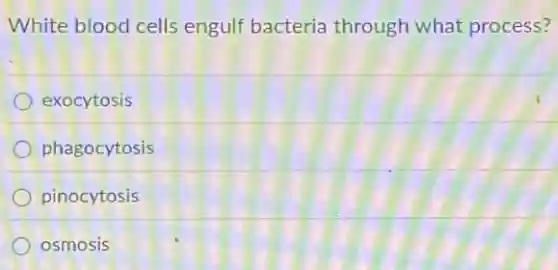 White blood cells engulf bacteria through what process?
exocytosis
phagocytosis
pinocytosis
osmosis